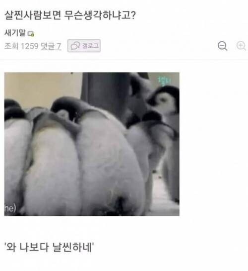 살 찐 사람 보면 무슨 생각하냐고?.jpg_1.jpg