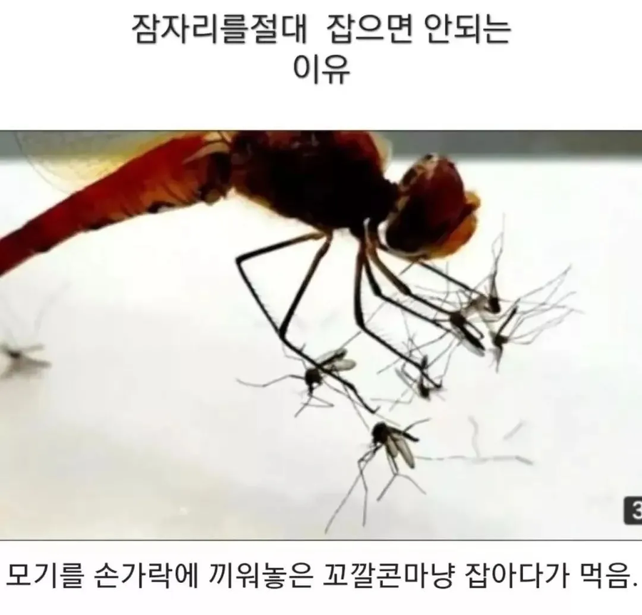 남자들이 잠자리 좋아하는 이유_1.webp