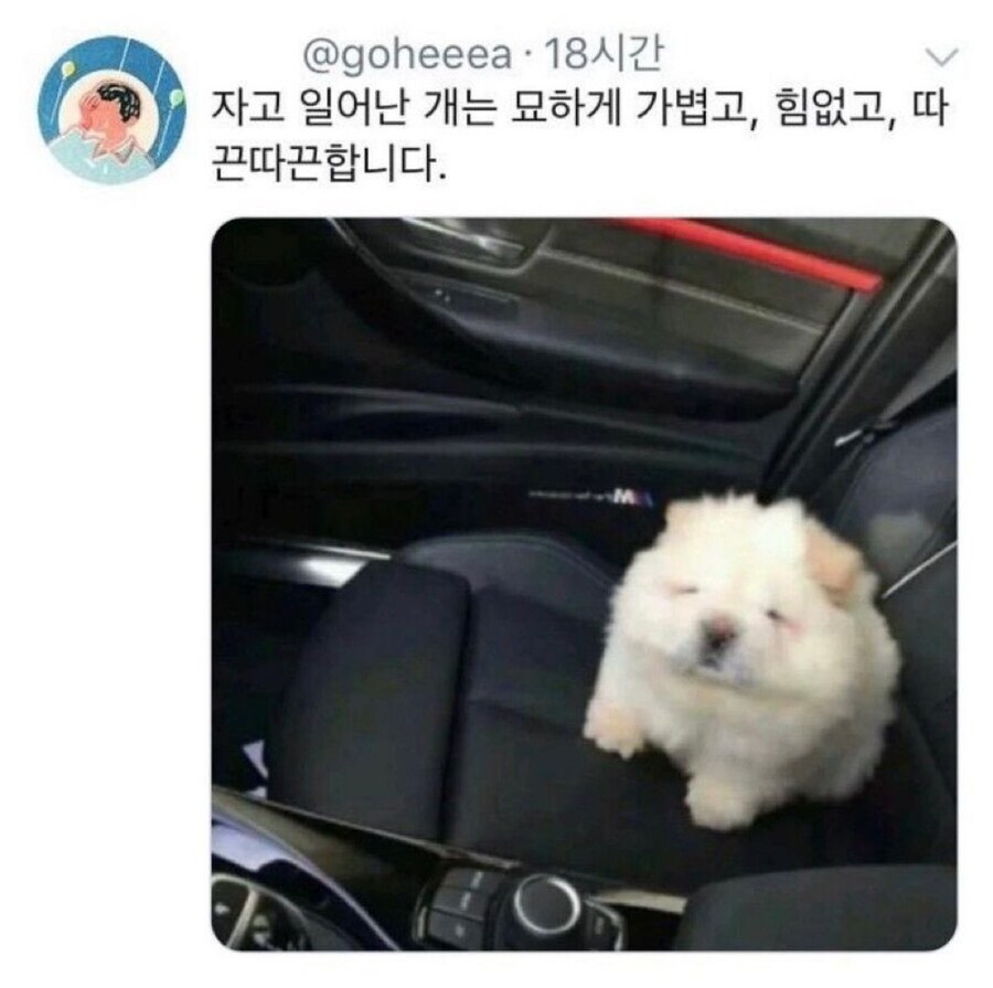 묘하게 가볍고, 힘없고, 따끈따끈한 거.jpg_1.jpg