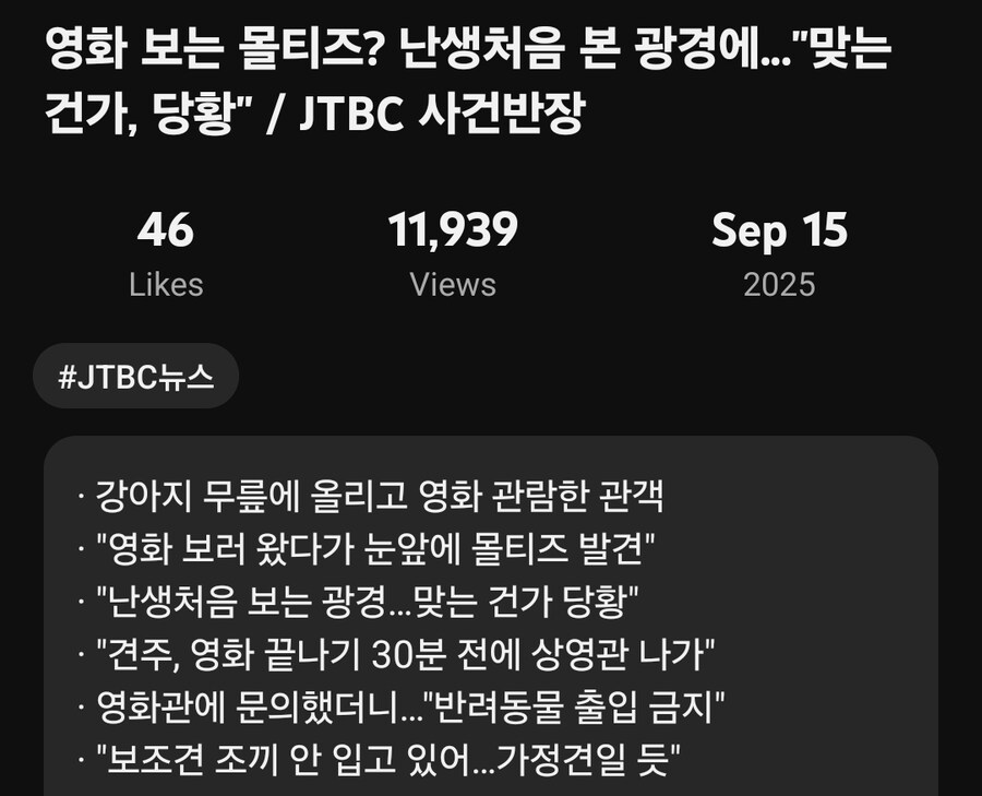 영화관에 말티즈 강아지 데리고 들어온 사람_2.jpg