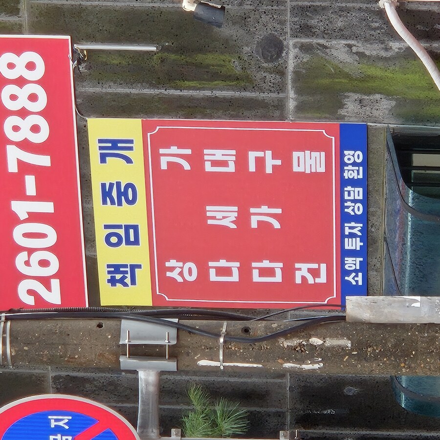 우리 집앞에 세가 있음_1.jpg
