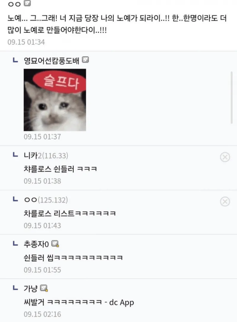 원피스 끝없이 올려쳐지는 새끼_2.webp