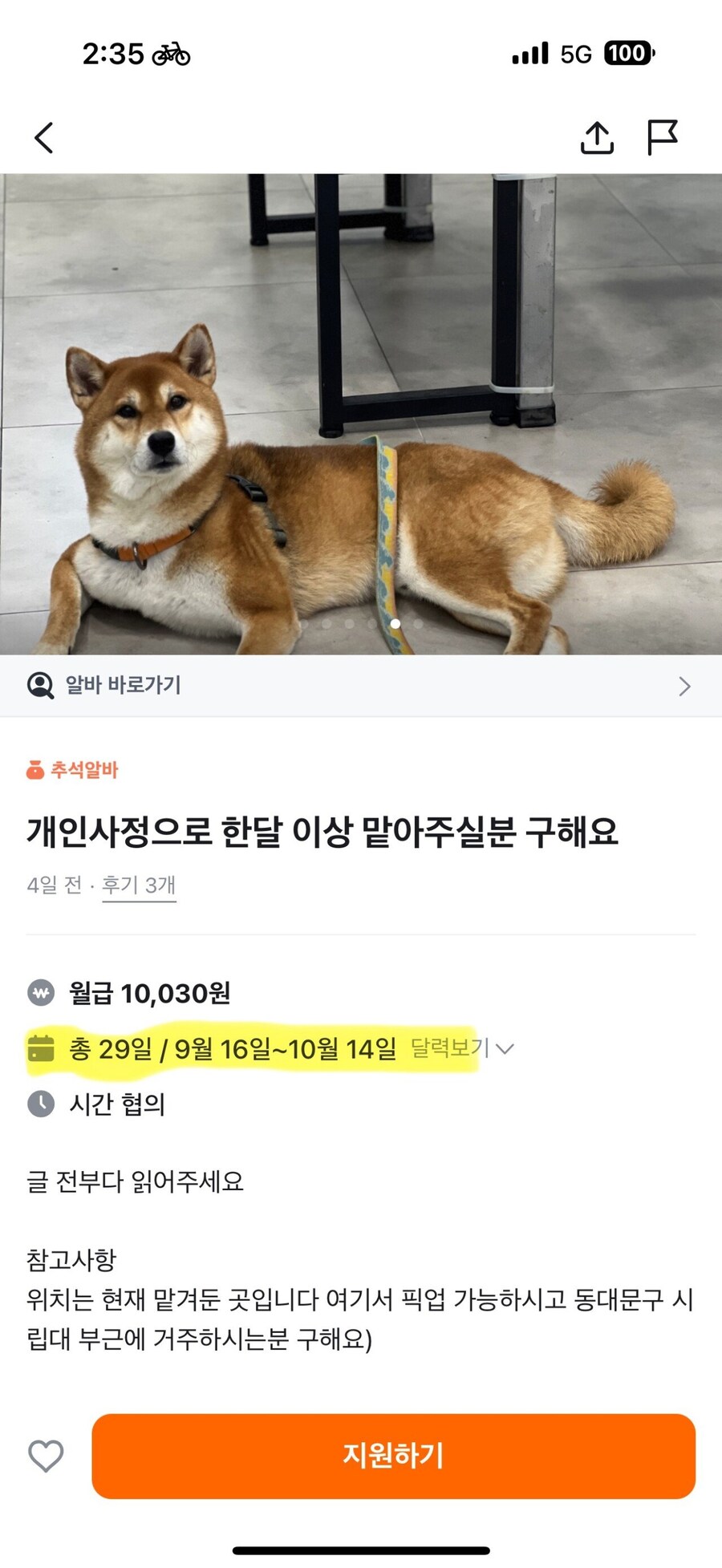 양심 달나라간 당근 알바_1.jpg