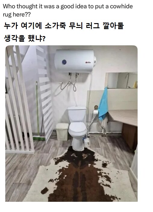 누가 여기에 소가죽 무늬 깔아뒀냐_1.png