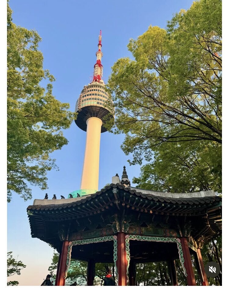뭘 보고 왔는지 너무 투명한 어느 관광객의 서울 여행_3.jpg