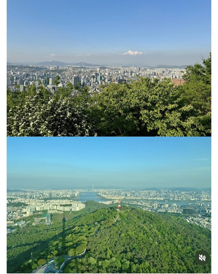 뭘 보고 왔는지 너무 투명한 어느 관광객의 서울 여행_4.jpg