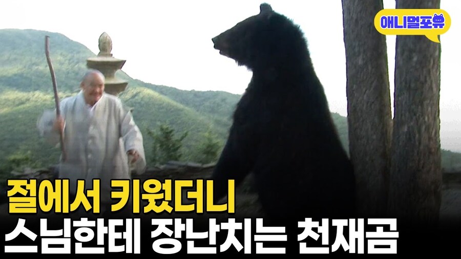 와 섬네일봐_1.png