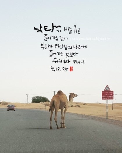 요새 미국 개신교 광신자들은 예수님이 살아오셔도 깔걸_1.jpg