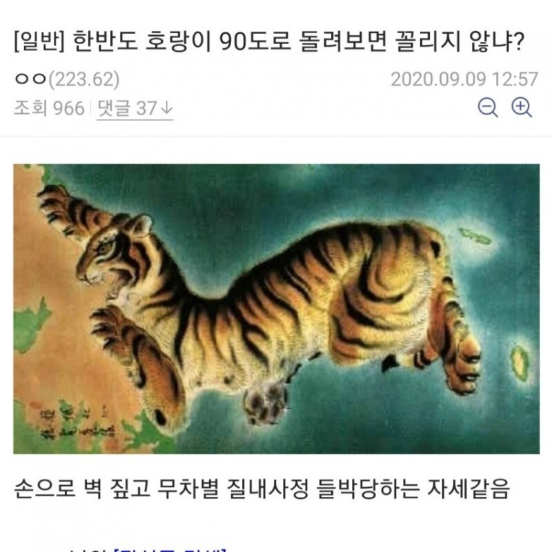 한반도 호랑이 그림의 진실.jpg_1.jpg