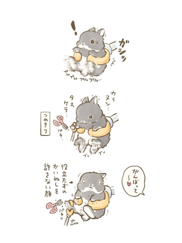 손톱다듬어지는 토끼특_1.jpg
