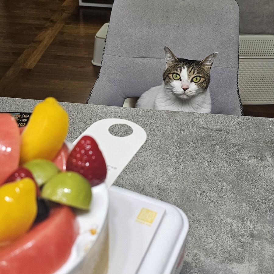 우리집 대장_3.jpg