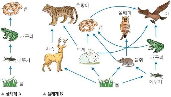 사람이 야생동물을 키우면 야생에서보다 수명이 늘어나는 이유.jpg_1.jpg