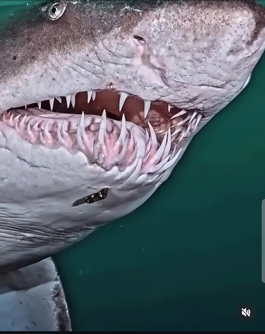 수영하다가 보면 두근거리는거_4.jpg