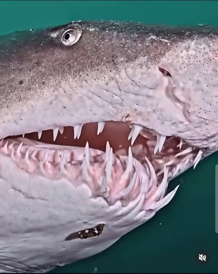 수영하다가 보면 두근거리는거_5.jpg