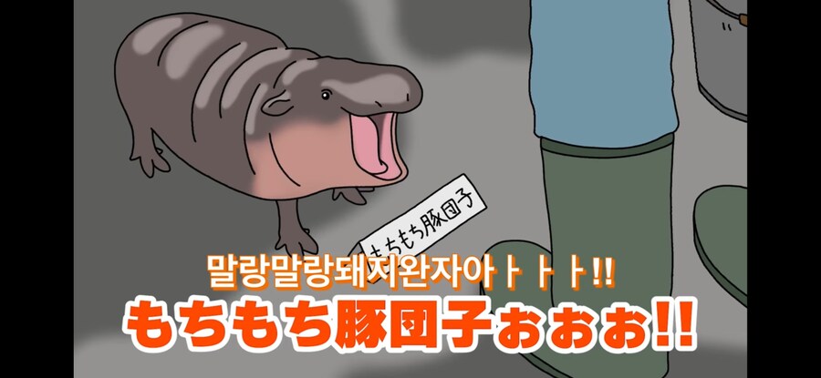 자기 이름 지어준 사람 때문에 개빡친 아기하마_1.jpg