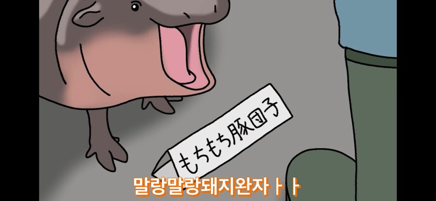 자기 이름 지어준 사람 때문에 개빡친 아기하마_2.jpg