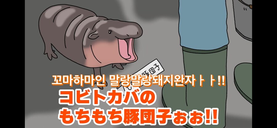 자기 이름 지어준 사람 때문에 개빡친 아기하마_3.jpg