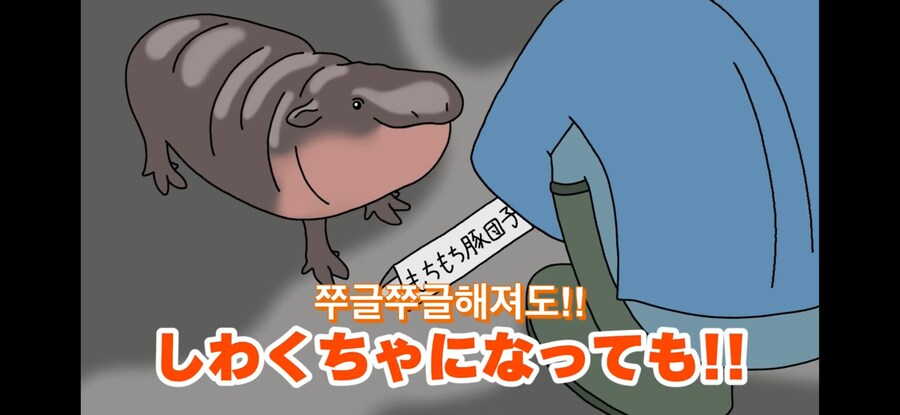 자기 이름 지어준 사람 때문에 개빡친 아기하마_8.jpg