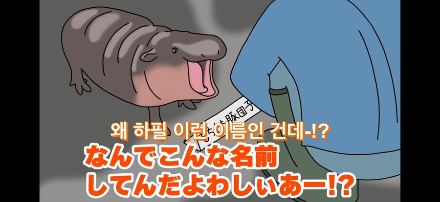 자기 이름 지어준 사람 때문에 개빡친 아기하마_11.jpg