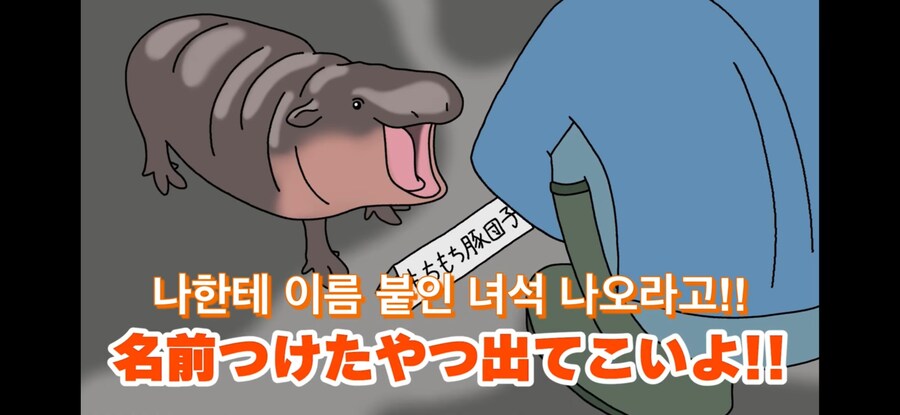 자기 이름 지어준 사람 때문에 개빡친 아기하마_13.jpg