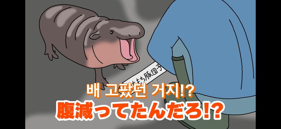 자기 이름 지어준 사람 때문에 개빡친 아기하마_14.jpg