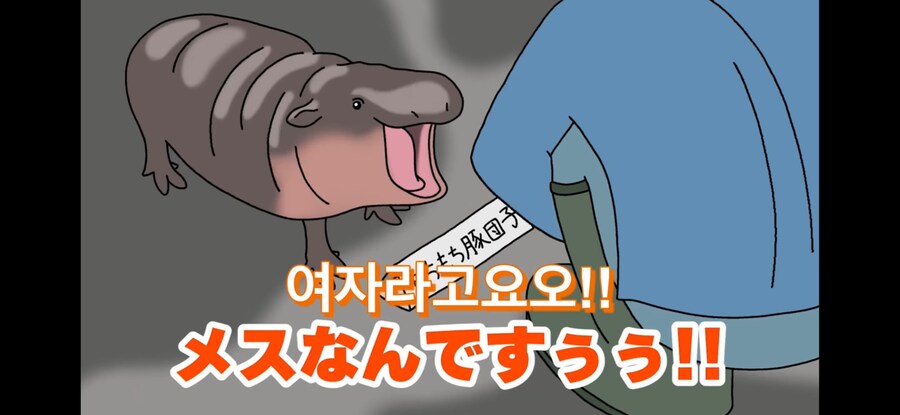 자기 이름 지어준 사람 때문에 개빡친 아기하마_17.jpg