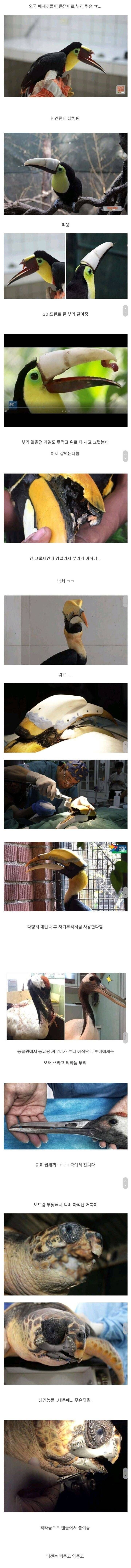 인간에게 납치되어 이상해진 동물들.jpg_1.jpg