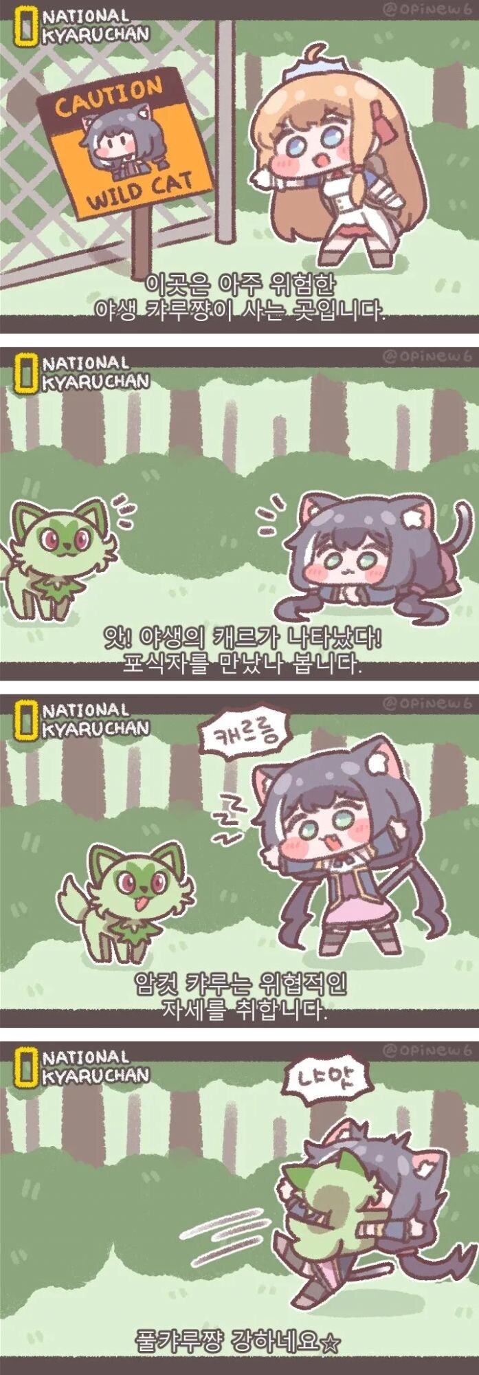 야생의 캬루_1.jpg