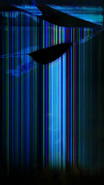 01110101100101000000_1.jpg