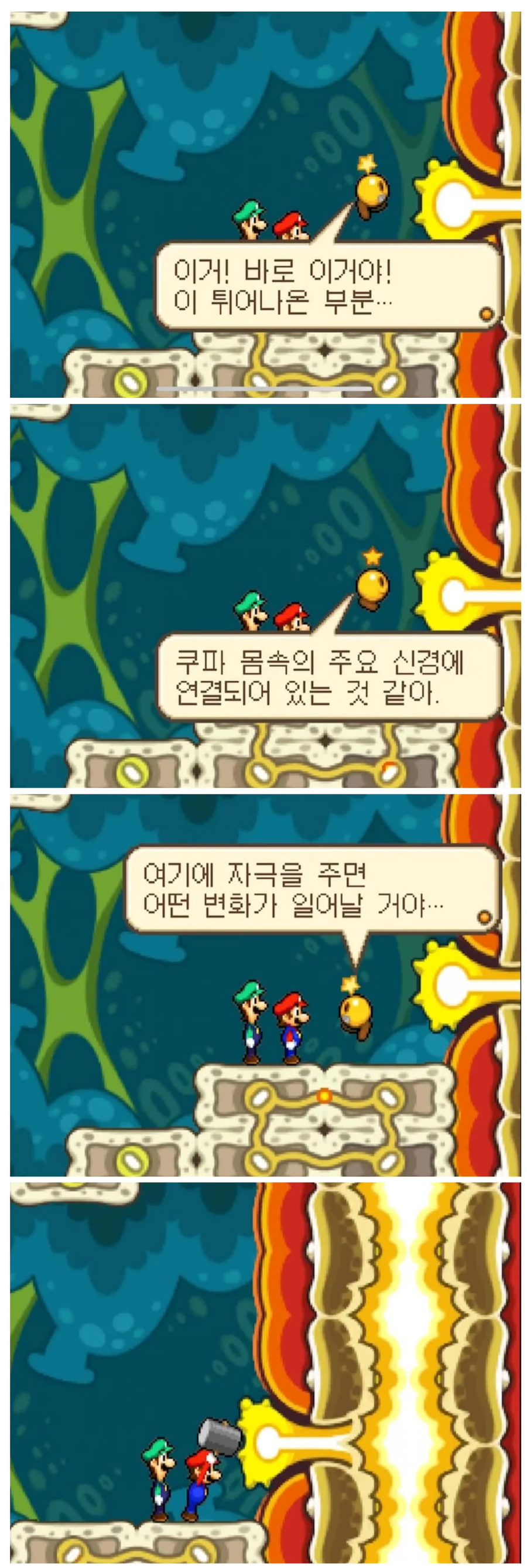 쿠파의 약점.jpe_1.webp