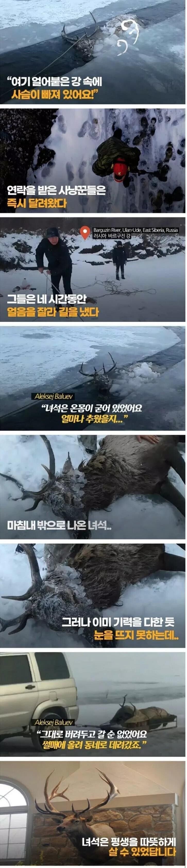 가슴따뜻해지는 동물구조 이야기.jpg_1.jpg
