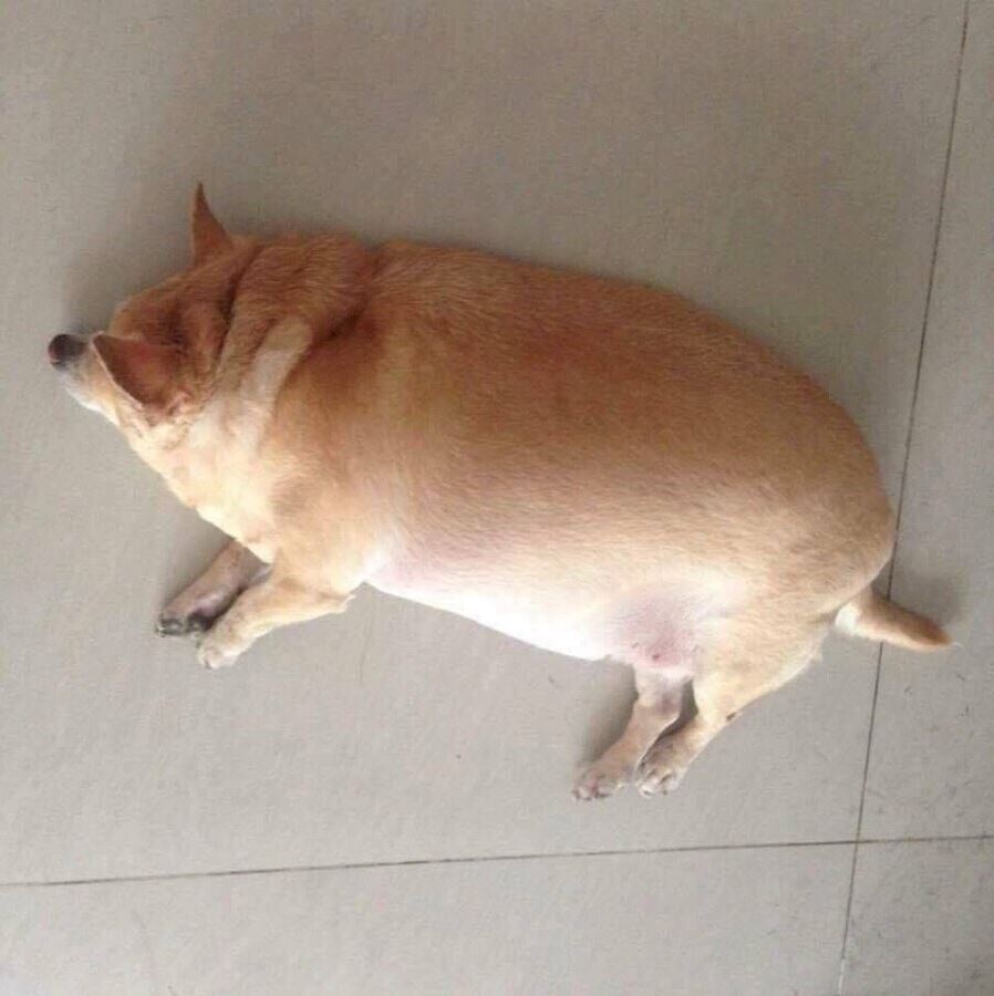 어른의 조언을 열심히 들은 결과_3.jpg