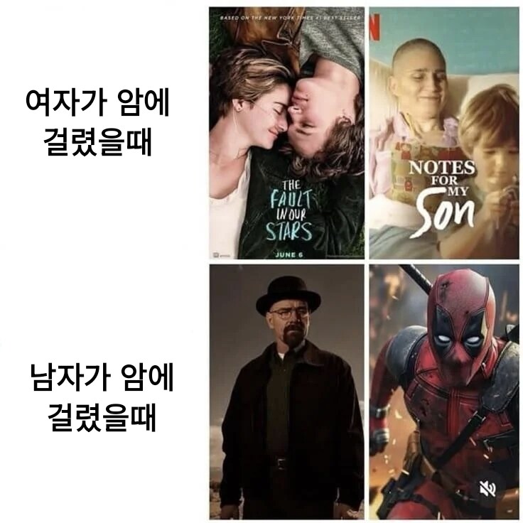 여자가 암 걸렸을 때 VS 남자가 암 걸렸을 때.jpg_1.jpg