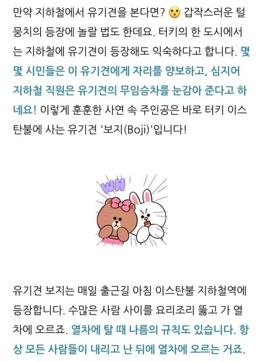 튀르키예의 유명 후타나리_1.webp