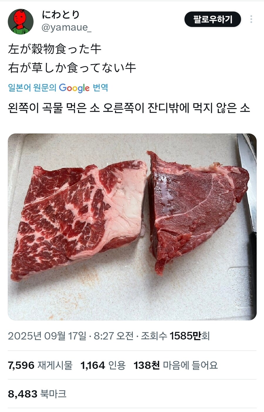 먹이에 따른 소고기 육질 차이_1.jpg