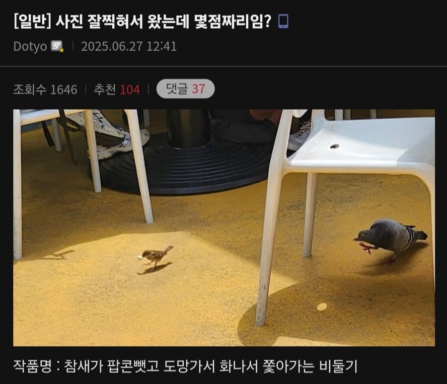 디씨의 어느 동물사진가.dc_1.jpg