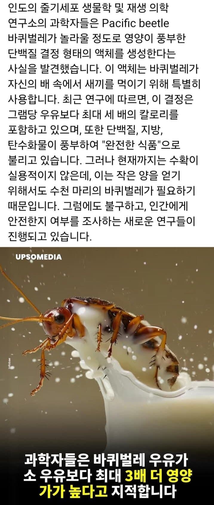 어리둥절 우유보다 영양가 3배 높은 것_1.jpg