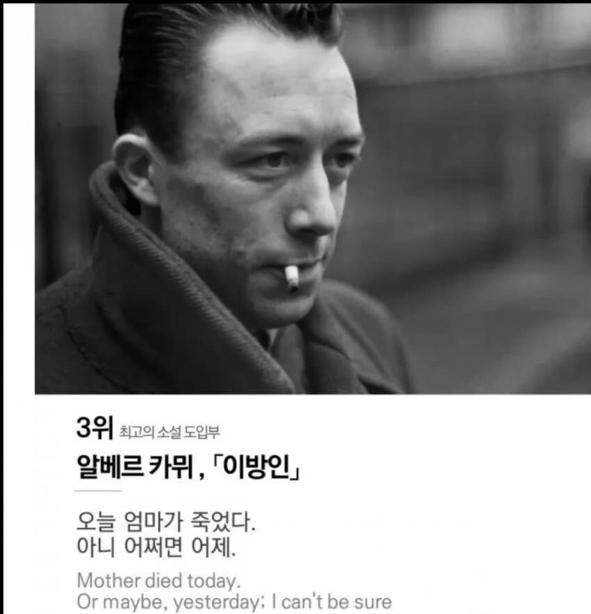 독자들이 뽑은 최고의 소설 도입부_8.jpg