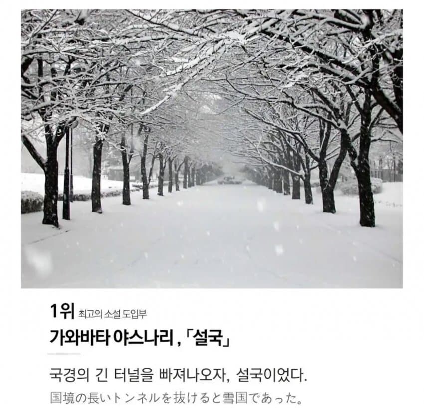 독자들이 뽑은 최고의 소설 도입부_10.jpg