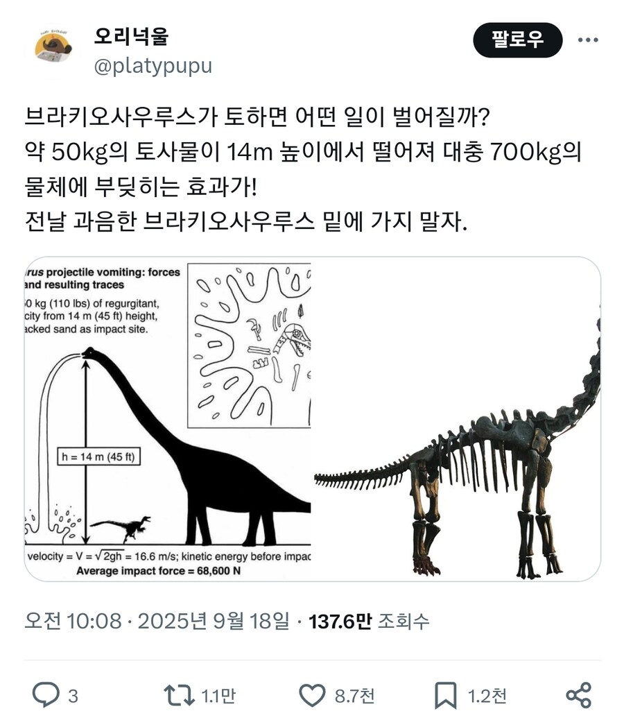 백악기 시절 낙수효과_1.jpg