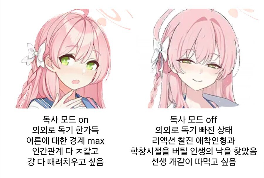 하나코의 두형태_1.png