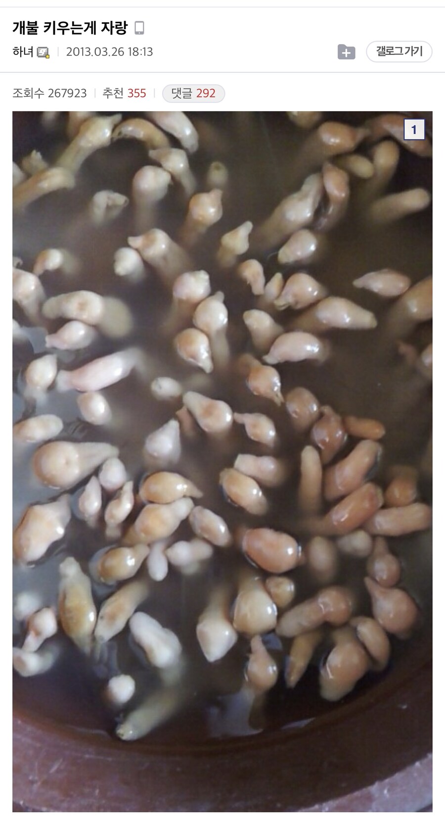 공포의 애완용 개불_1.jpg