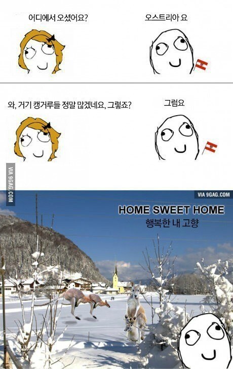 오스트리아는 캥거루가 살지않아.jpg_1.jpg