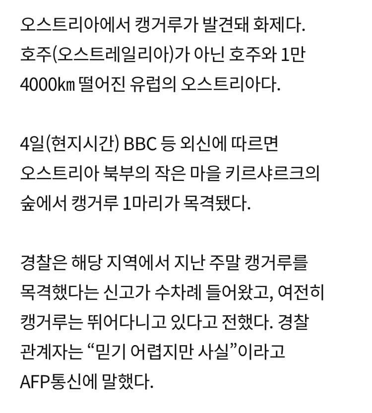 오스트리아는 캥거루가 살지않아.jpg_4.jpg