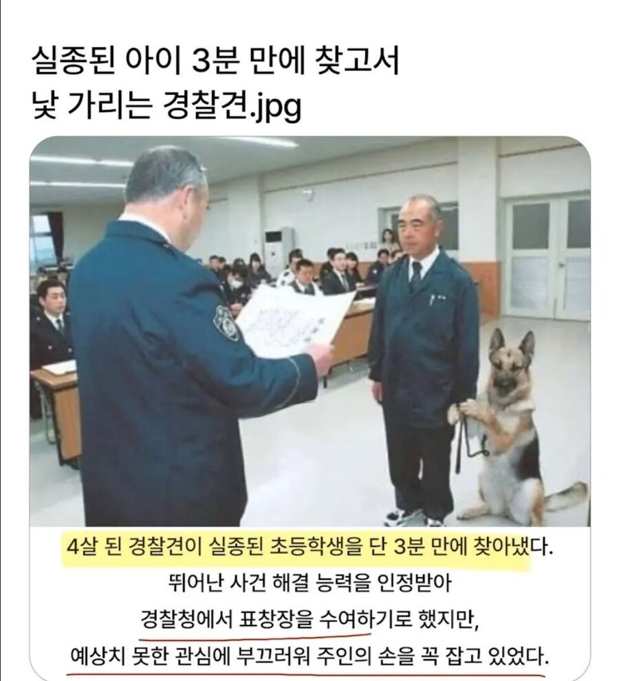 실종된 아이를 찾아 상을 받는 경찰견_1.jpg