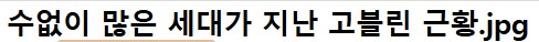 고블린 슬레이어도 학살을 망설이는 고블린 개체들_1.png