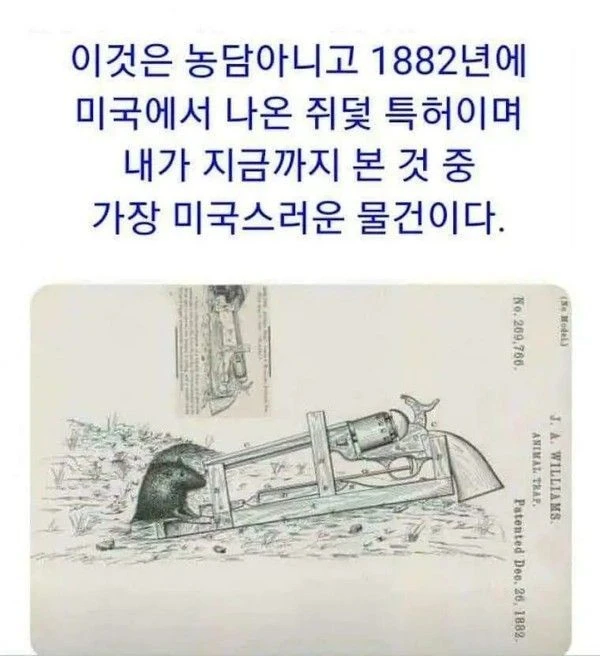가장 미국스러운 물건_1.webp