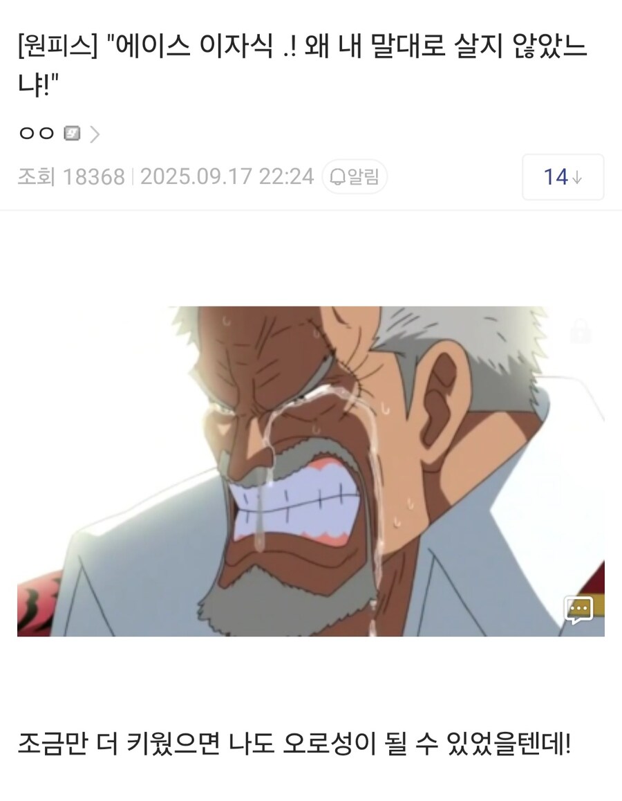 에이스 루피 왜 내 말대로 살지 않은거냐!_1.jpg