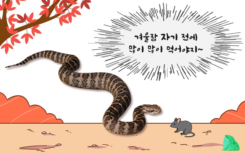 진짜 완전히 가을이라는 증거_2.png
