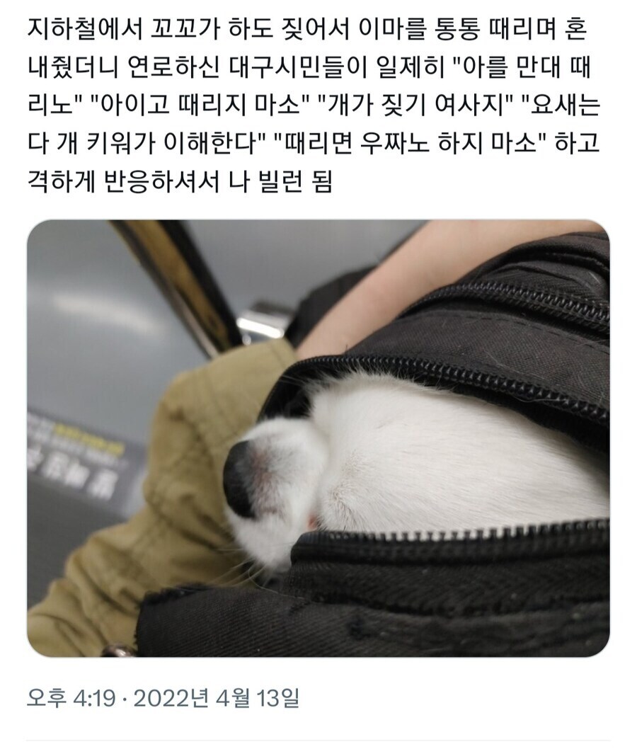 지하철 빌런이 된 사람.jpg_1.jpg